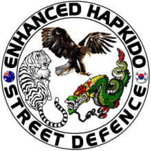 Enhanced Hapkido & Street Defence